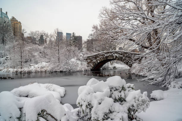istock Gapstow Bridge in Central Park 1202728885