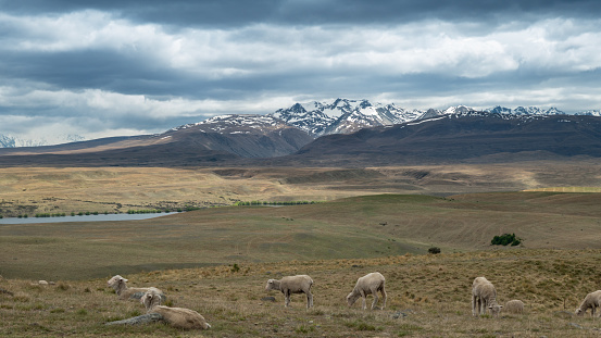 View of the Southern Alps, Canterbury region, New Zealand. As seen from Mount John (Lake Tekapo). In the foreground Lake Alexandrina. Looking in the direction of Mount Stevenson.