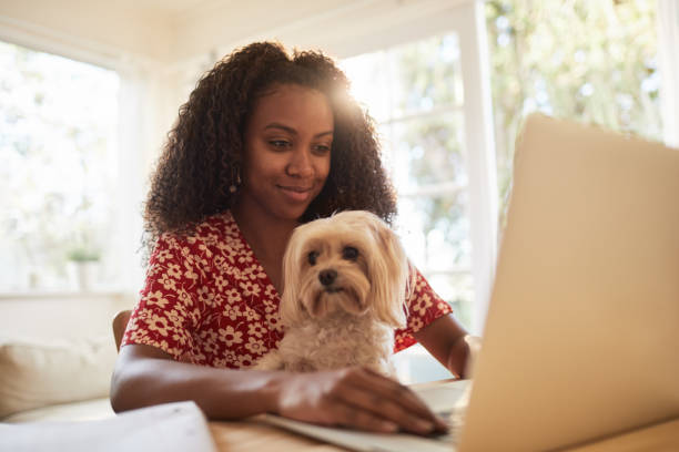 istock Woman working on a laptop with her dog on her lap 1202731399