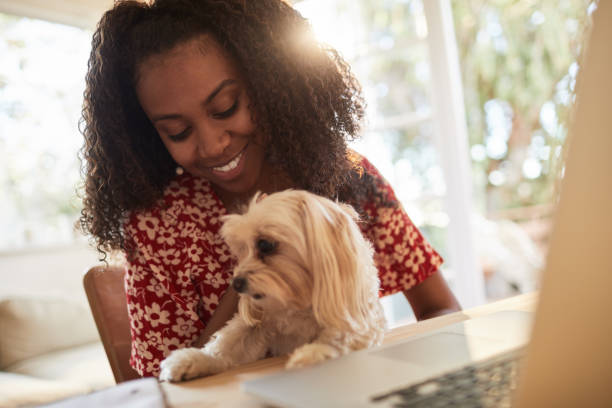istock Smiling woman playing with her dog and using a laptop 1202731480