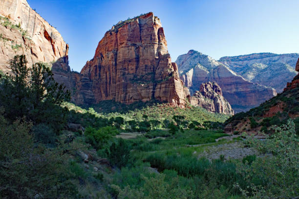 istock Zion National Park – Utah – USA 1202734132