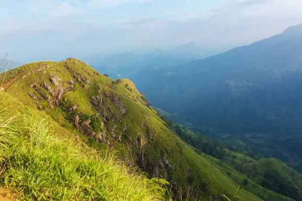 Photo of Mountain landscape, green slopes. Beauty of mountains. Little Adam peak, mountain in the fog view from the jungle.