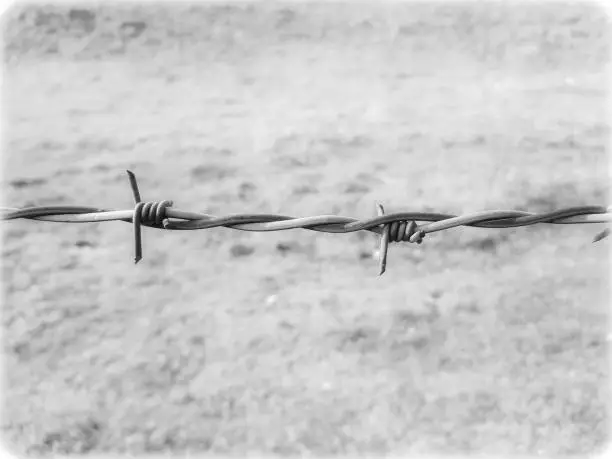 Memorial of holocaust genocide barbed whire line