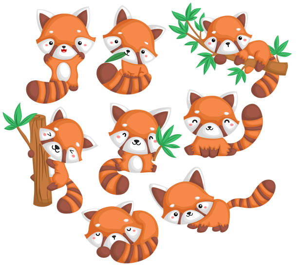 illustrazioni stock, clip art, cartoni animati e icone di tendenza di panda rossi - bamboo asia backgrounds textured
