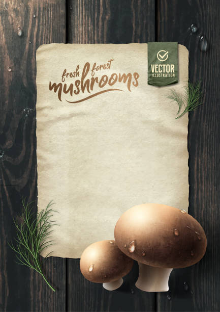 나무 테이블에 신선한 숲 버섯. 벡터 일러스트레이션 - mushroom retro revival vegetable food stock illustrations