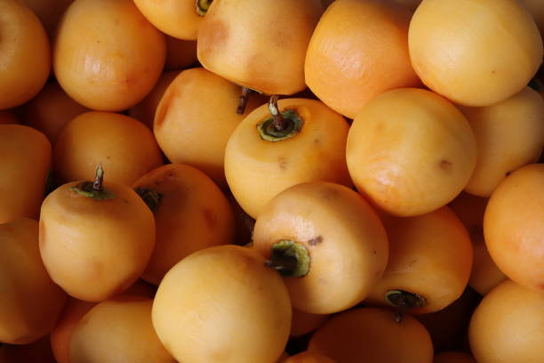 istock Raw persimmon preparing to hanging to make dry japanese persimmon (hoshigaki) 1202742045