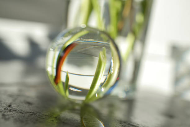 flowers bouquet vase water crystal ball
