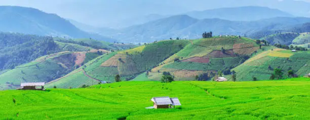 Photo of Pa Bong Piang Rice Terraces in Mae Chaem, Chiang Mai, Thailand.