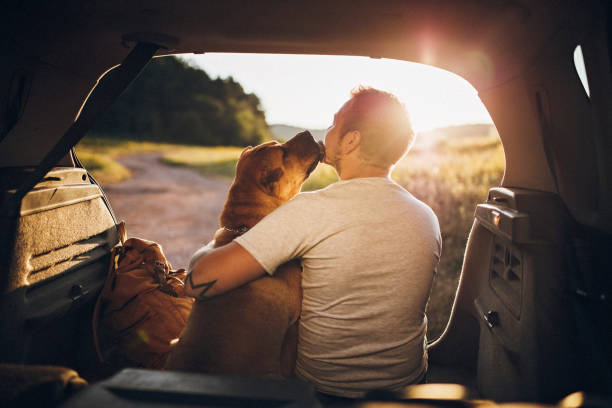 istock My best friend 1202747101