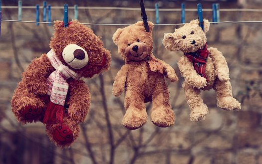 three cute brown wet teddy bears hanging on a clothesline and drying in the fresh air