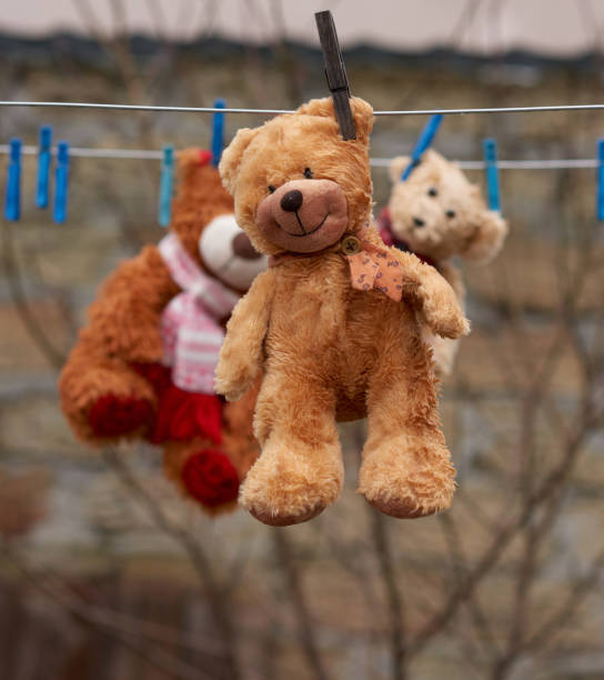 istock cute brown wet teddy bear hanging on a clothesline and drying 1202748202