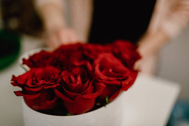 Making red roses flower arrangement in gift box