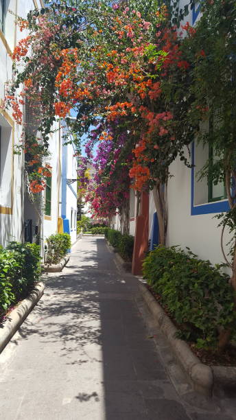 istock Little Venice, Gran Canaria 1202753590