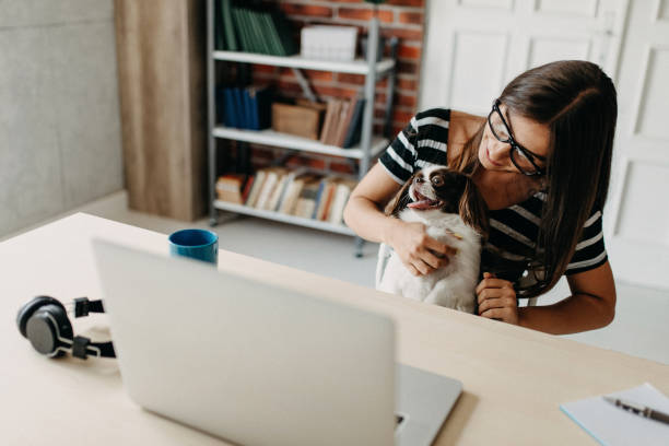 istock Cute dog in office 1202753971