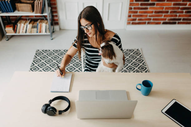 istock Cute dog in office 1202754002