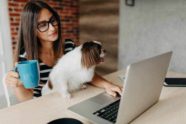 istock Cute dog in office 1202754139