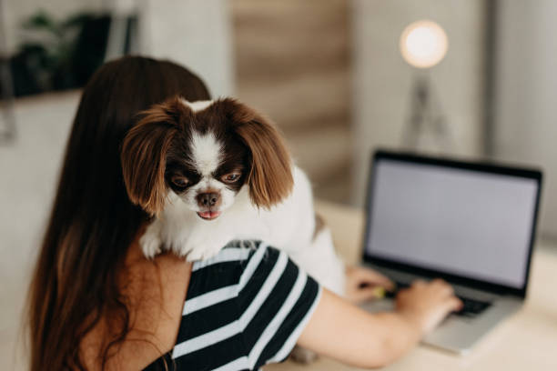 istock You make my job easyer 1202754163