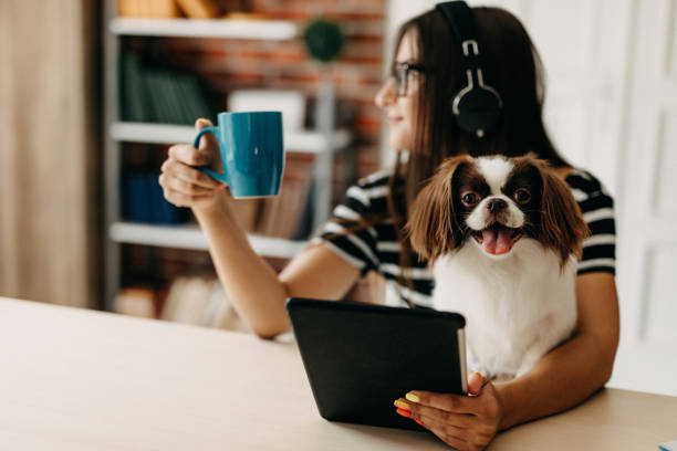 istock My best friend on work with me 1202754194