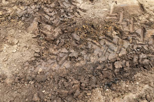 istock lots tire track on dirty soil ground for abstract background 1202757215