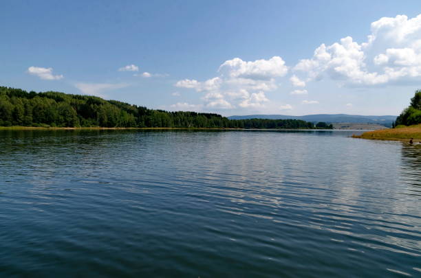 istock Vlasinsko lake 1202757242