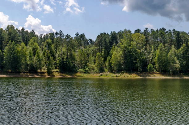 istock Vlasinsko lake 1202757311
