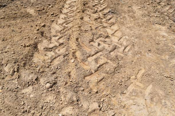 istock lots tire track on soil for background 1202757318