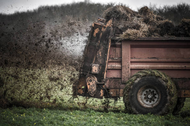 istock tractor and its telescopic fork taking the manure 1202757646
