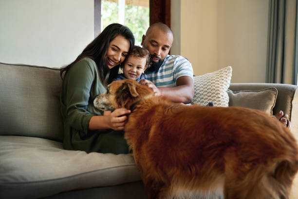 istock Their adorable dog completes their family 1202757875
