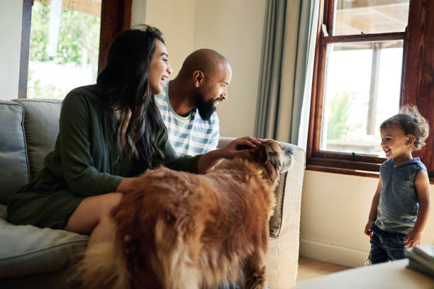 istock Come say hi to the dog! 1202757886