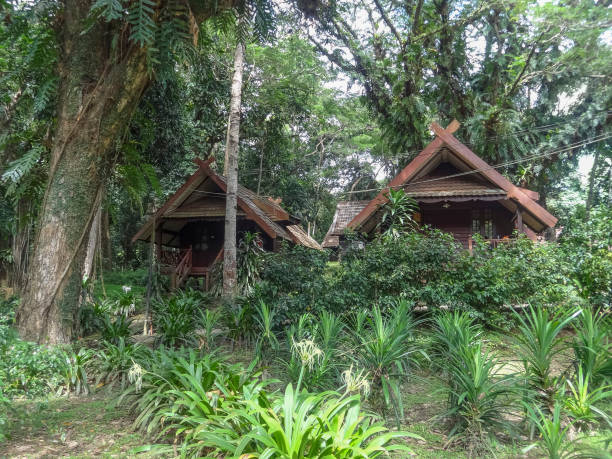 istock around Taman Negara in Malaysia 1202764019