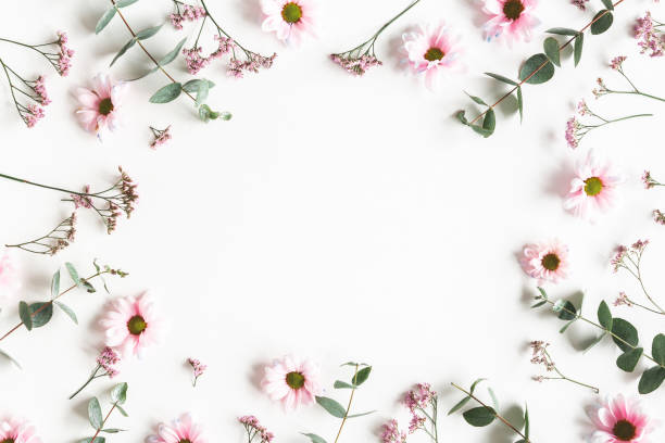 istock Flowers composition. Pink flowers on white background. Flat lay, top view 1202764314