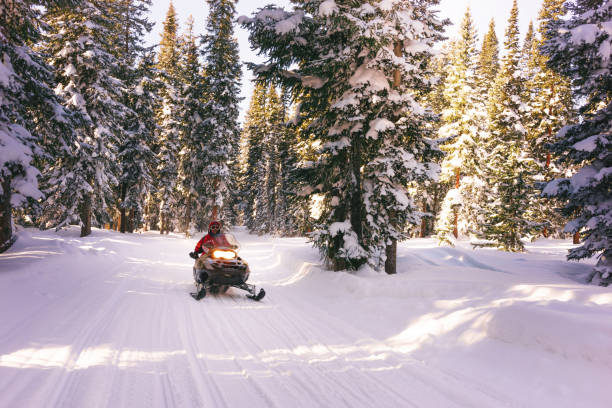 conducir moto de nieve en colorado, ee. uu. - motoesquí fotografías e imágenes de stock