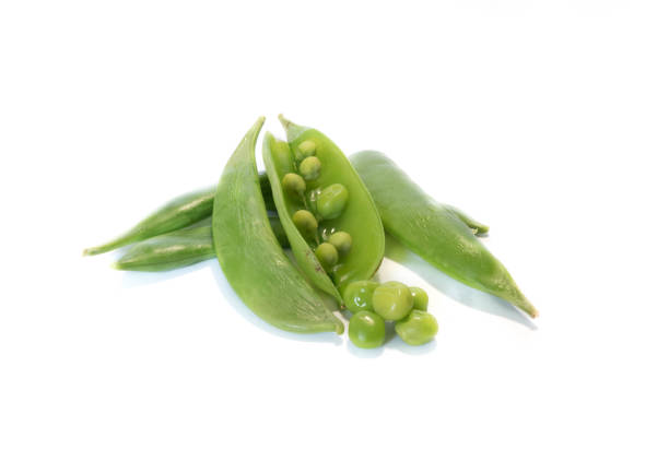 sugar pod isolated on white background - green pea pea pod salad legume imagens e fotografias de stock