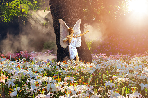 Beautiful  angel in a paradise magic garden with white and pink  lilies. Valentine's day greeting card. Flower landscape.