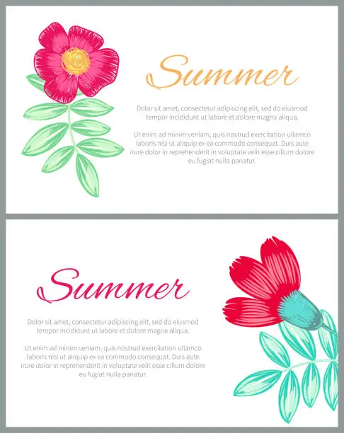 Vector illustration of Summer Theme Colorful Posters Vector Illustration