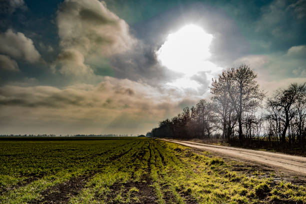 istock road in the field and the sun in spring 1202768172
