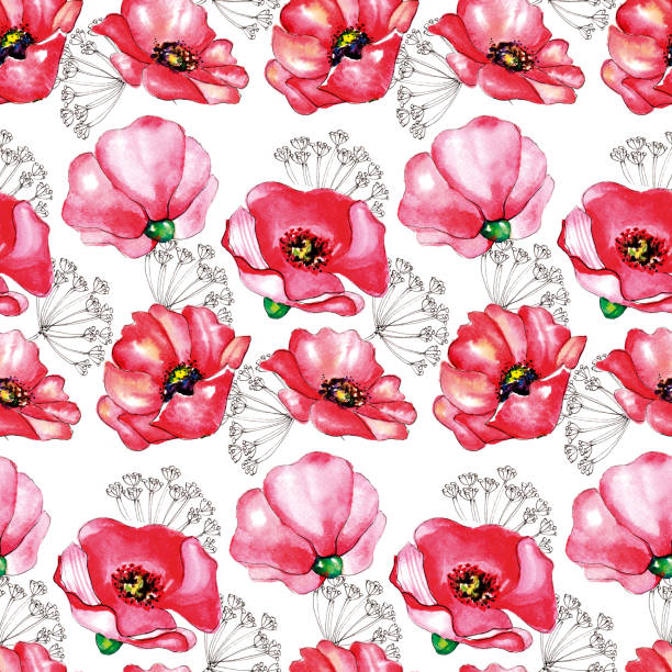 бесшовный узор из красной акварели ручной обращается маковые цветы - stem poppy fragility flower stock illustrations