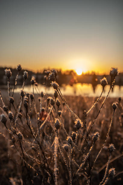istock Beautiful sunset on river Kymijoki at winter, Finland. 1202770954