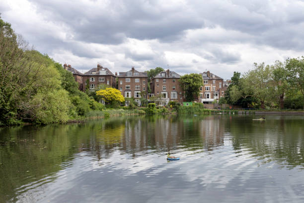 istock Hampstead No 2 pond in London 1202771702