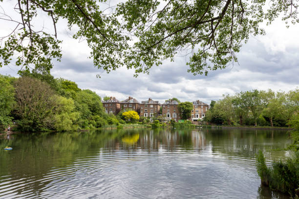 istock Hampstead No 2 pond in London 1202771800