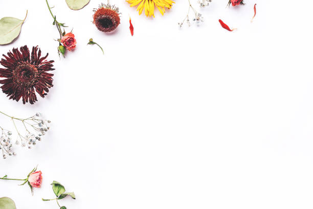 istock Frame of dry flowers on white background. 1202773781