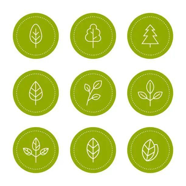 Vector illustration of Set leaf and tree line icons logo design. Healthy, natural, vegan, organic food emblems. Vector illstration