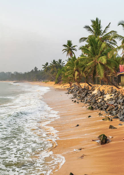 istock Palm Beach at sunset or sunrise 1202774481
