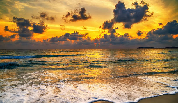 istock Sunset beach at sunrise 1202775832