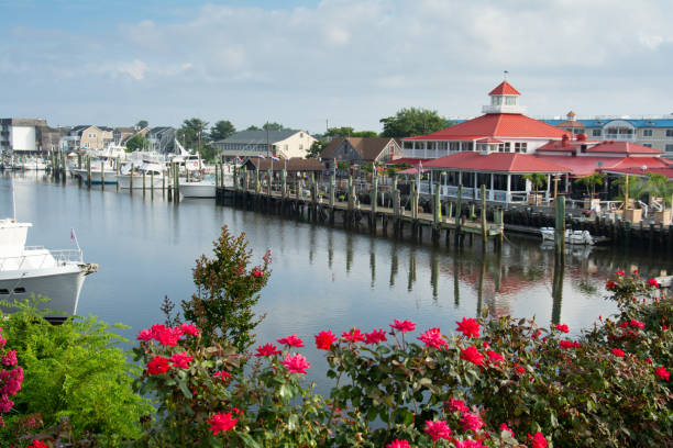 istock Canal with dock and restaurant and roses 1202776261