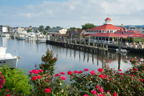 Canal with dock and restaurant and roses A nautical scene of a canal in a small town with roses in the foreground canal photos stock pictures, royalty-free photos & images