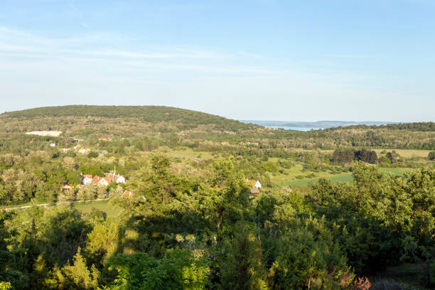 green, summer, landscape, road, row of trees, hills, houses, Hungary, Balaton