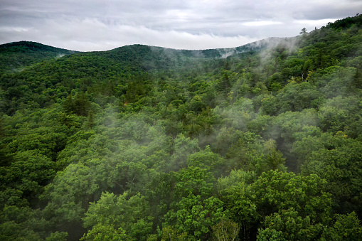 Aerial photography of the Green Mountains of Vermont, USA. Picture includes the untamed wilderness, endless woods and a foggy scenery in the early morning.