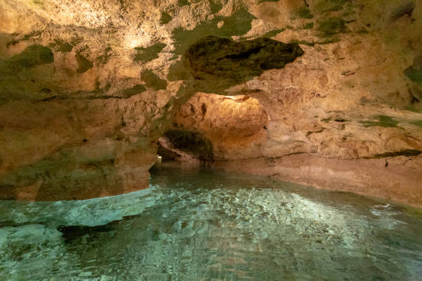 istock Lake Cave of Tapolca 1202777677