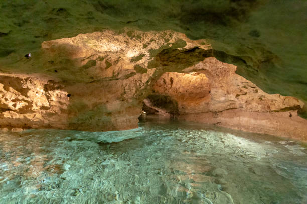 istock Lake Cave of Tapolca 1202779546